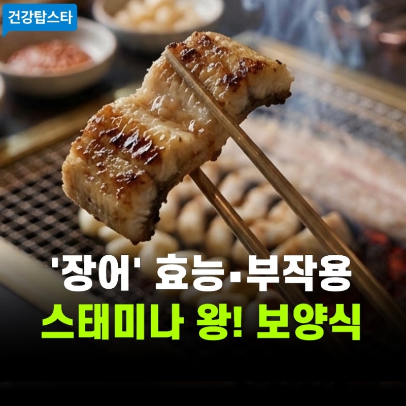 장어 효능과 부작용 | 올바른 섭취법 (스태미나 왕 보양식)