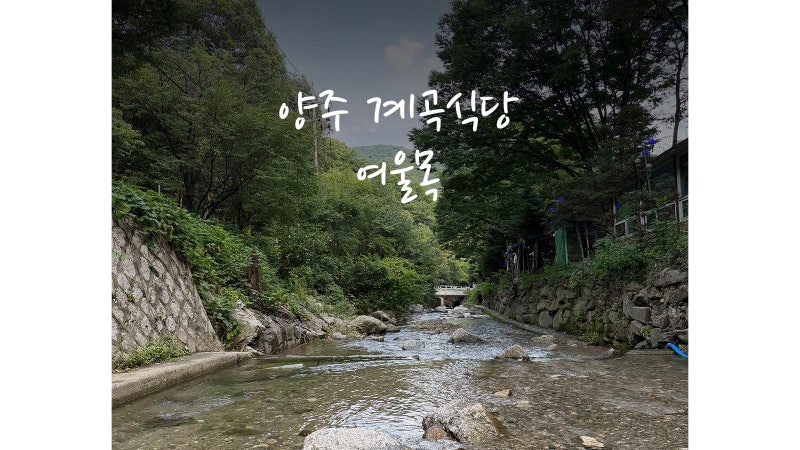 양주 계곡식당 여울목, 백숙먹고 시원한 물놀이까지