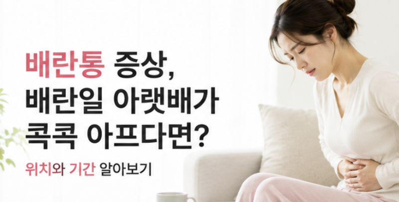배란통 증상, 배란일 아랫배가 콕콕 아프다면? 위치와 기간 알아보기