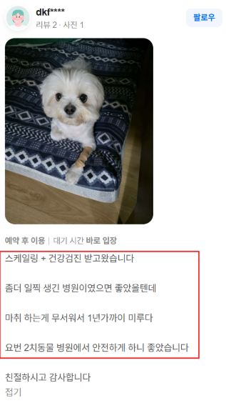 강아지 스케일링 마취, 무서워 미루고 계시는 분들께 (주의사항 3가지)