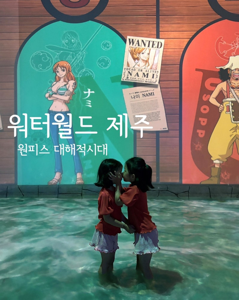 제주도 실내 가볼만한 곳 워터월드 제주 원피스 대해적 시대 생생 후기 | 제주도 여름 가볼만....