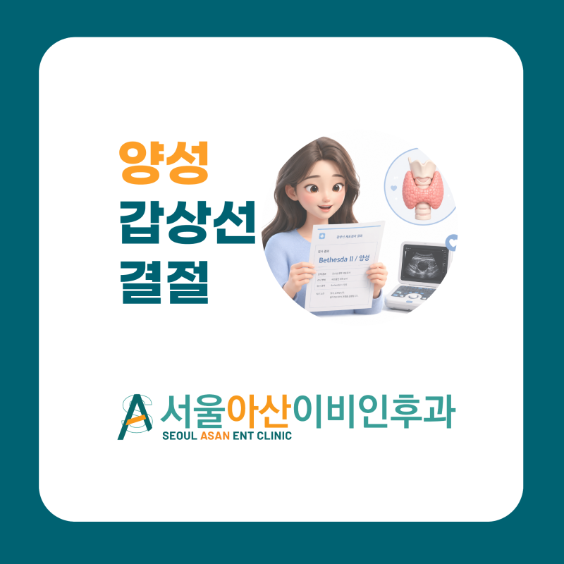 갑상선 세침검사 양성인데 초음파를 계속 받아야 하나요? Bethesda II 추적관찰기준 [광진구 이....