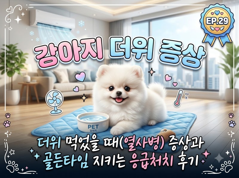 무더운 여름철 강아지 더위 먹었을 때(열사병) 증상과 골든타임 지키는 응급처치 경험