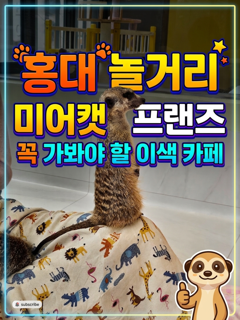 홍대 놀거리 미어캣프랜즈, 아이와 함께 가기 좋은 색다른 실내 동물 체험 후기