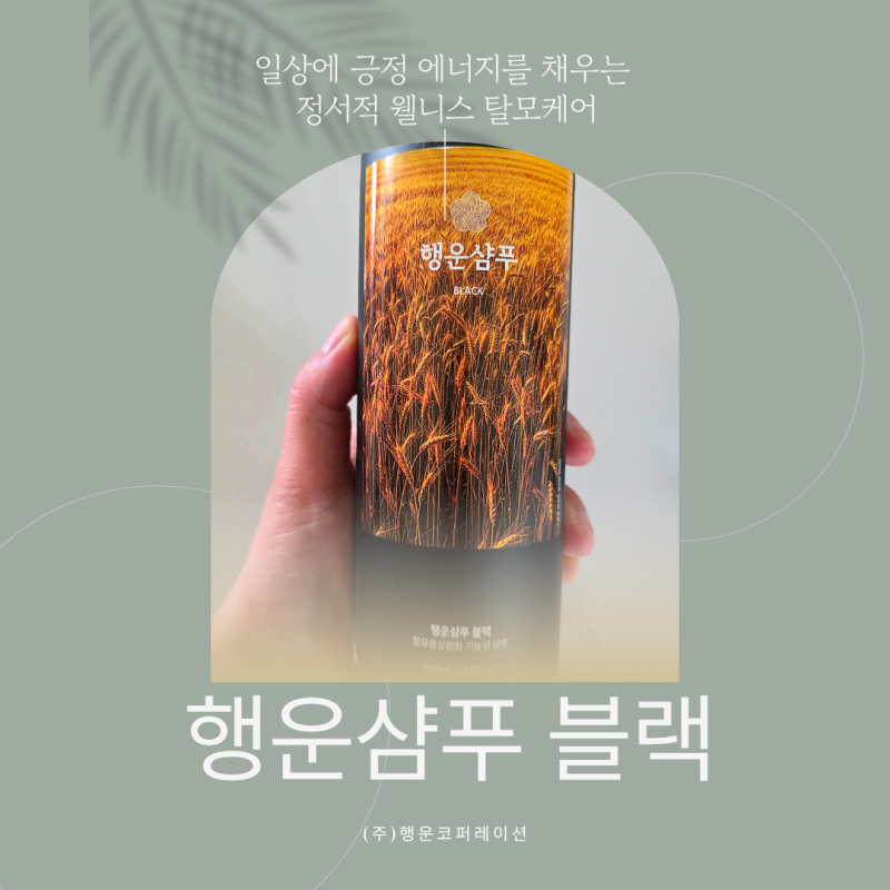 두피관리를 위한 탈모샴푸추천 행운샴푸 블랙 후기