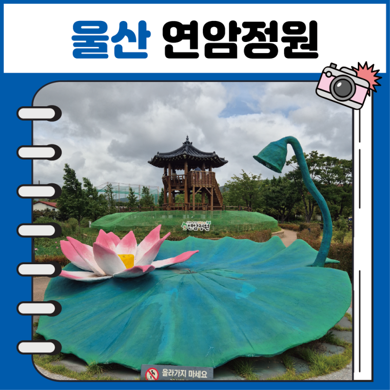 울산 북구 가볼만한 곳 연암정원 실시간 연꽃 현황 주차장 연꽃정원 통나무다리 포토존