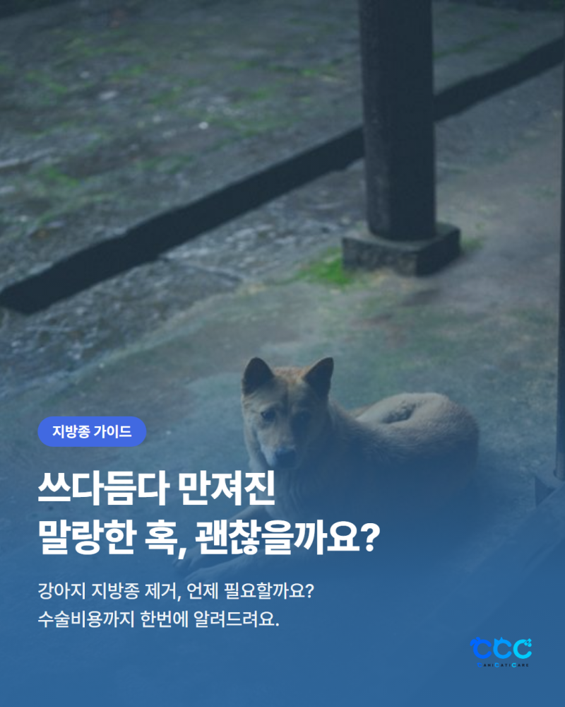 강아지 지방종 제거? 수술비용까지 알아보자