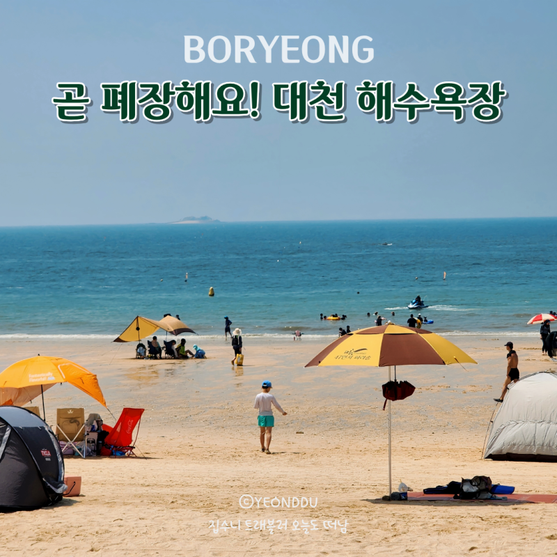 보령 가볼만한곳 샤워장 있는 대천 해수욕장 개장 기간 시간 총정리