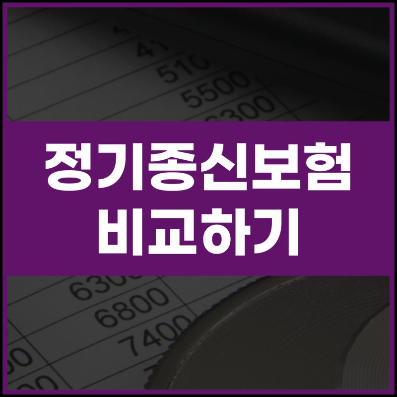 변액유니버셜종신보험 생명보험금액 확인하고 보장 구조 알아보기