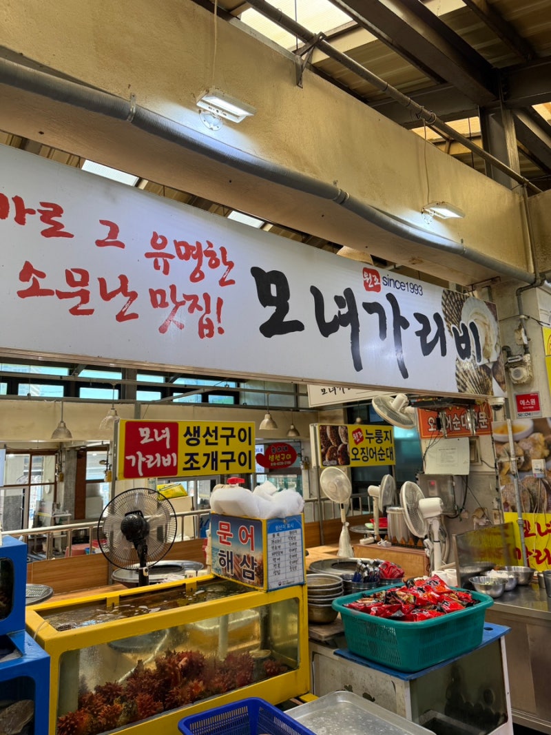 속초 대포항 모녀가리비 누룽지오징어순대 | 아이와 함께 오픈런 웨이팅 후기 (주차 · 영업....