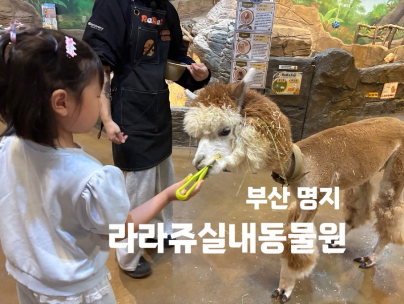 Lalaju Zoo: An Indoor Zoo in Busan Where Kids Can Feed Animals