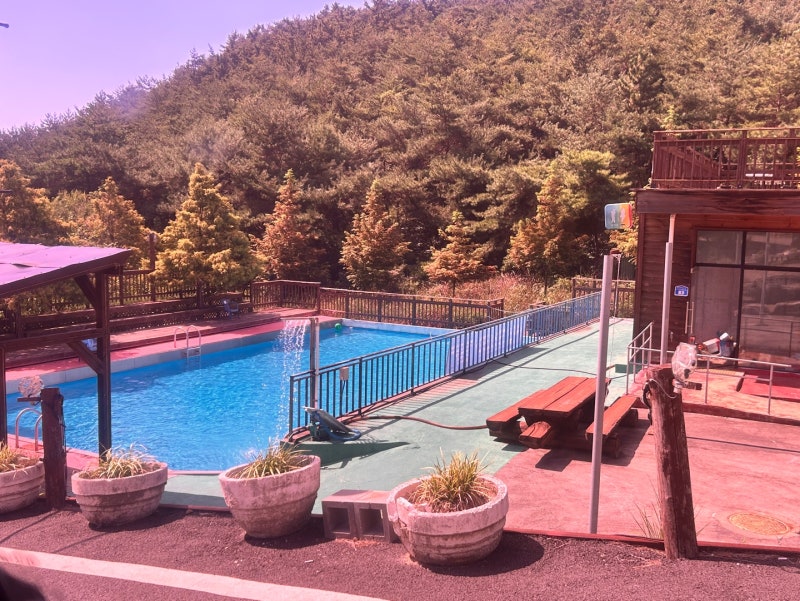 충남 보령 숲속애통나무마을 6인독채 C타입 5인 솔직 후기 (수영장, 단지 팁) 단체숙소, MT