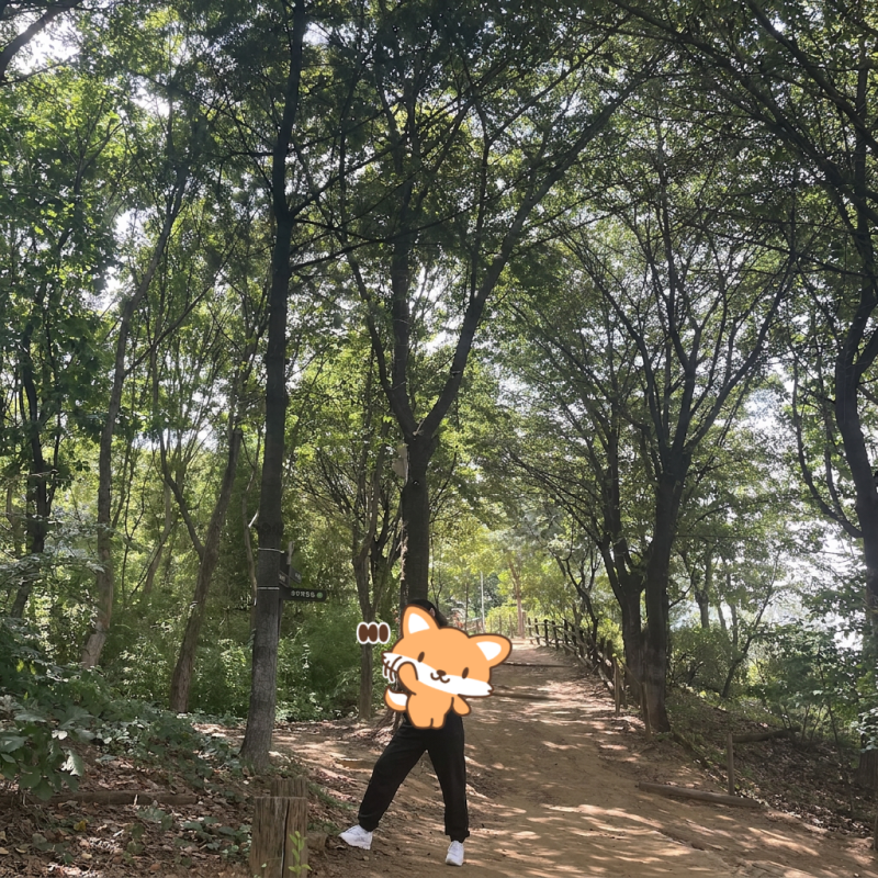 [자궁내막증 회복기] 자궁내막증 수술 후 관리부터 식습관까지