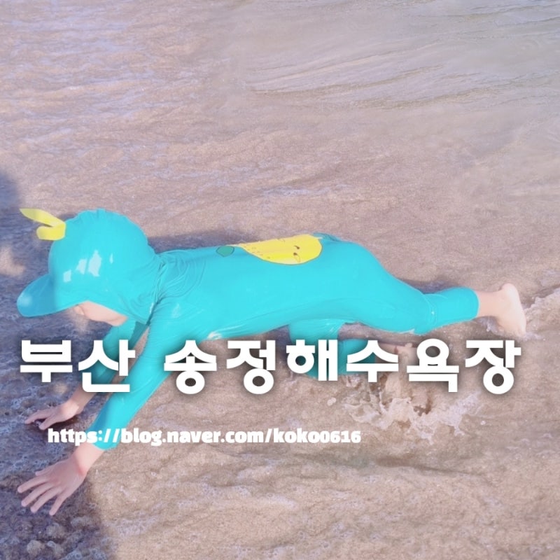 부산 송정해수욕장 해동용궁사 여름휴가지 추천