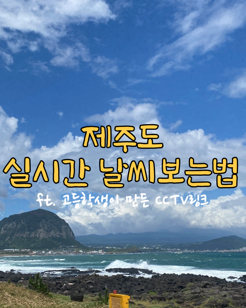 제주도 동네별 날씨 실시간으로 CCTV 확인하는 방법 두가지!