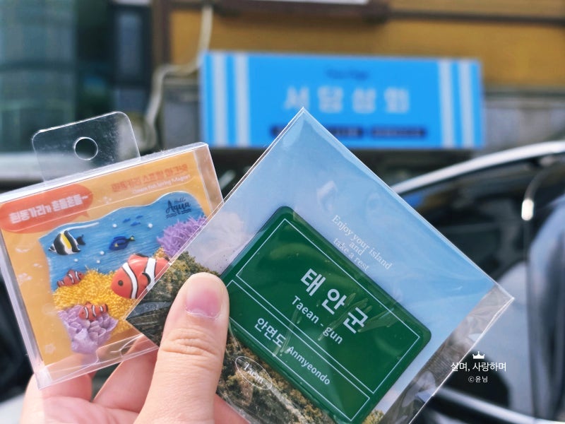 충남투어패스 태안여행 가볼만한곳 마그넷 굿즈가 있는 안면도 소품샵 서담상회