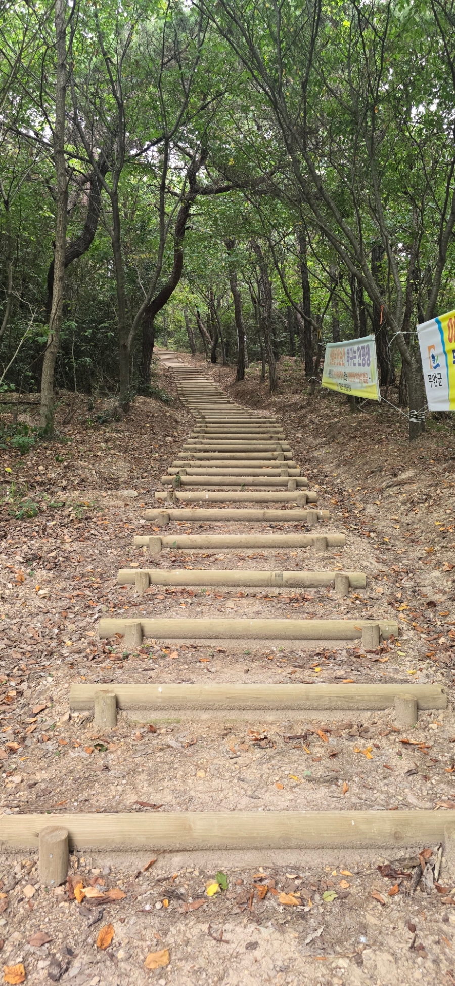 승달산 사진 6