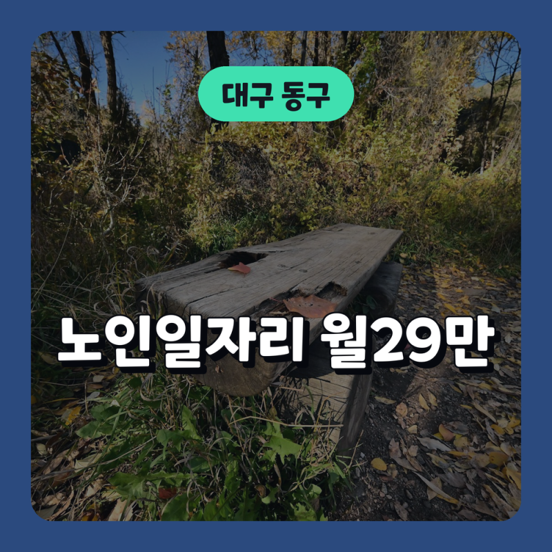 대구 동구 노인일자리 채용공고와 소재지, 일자리정보 신청 방법