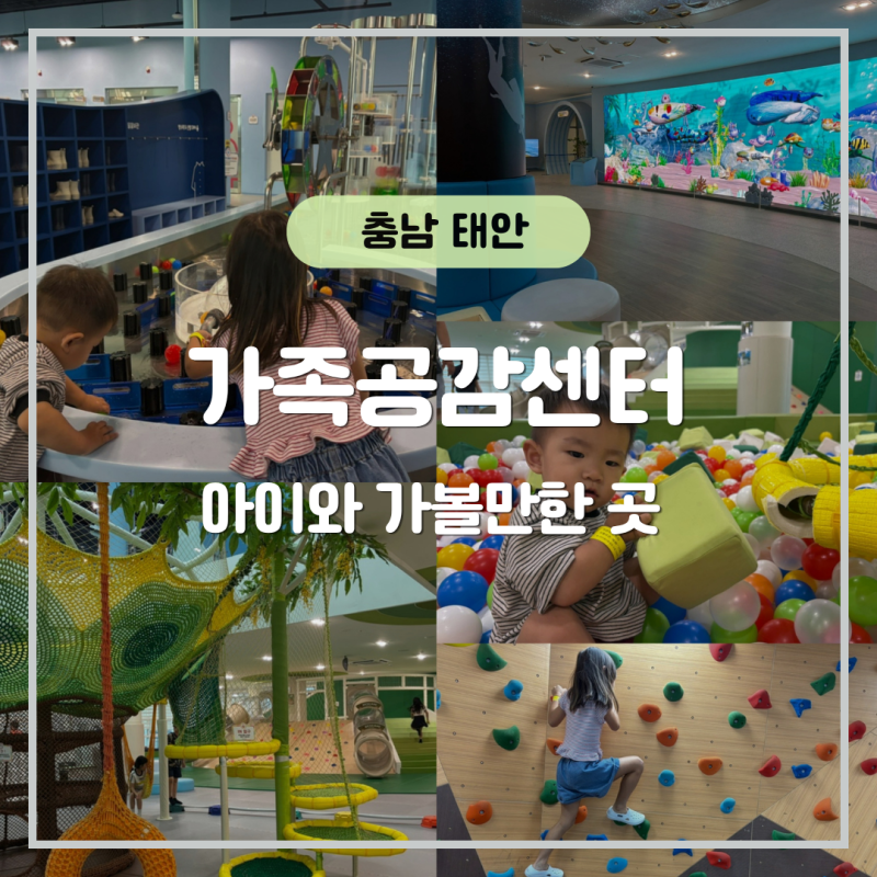 태안 아이와 가볼만한 곳｜비오는날 가족공감센터 실내체험