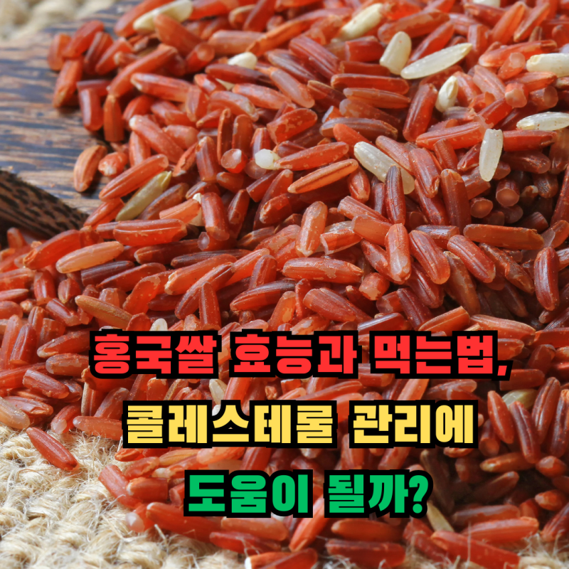 홍국쌀 효능과 먹는법, 콜레스테롤 관리에 도움이 될까?.
