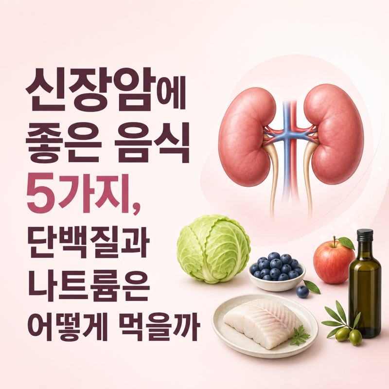 신장암에 좋은 음식 5가지, 단백질과 나트륨은 어떻게 먹을까