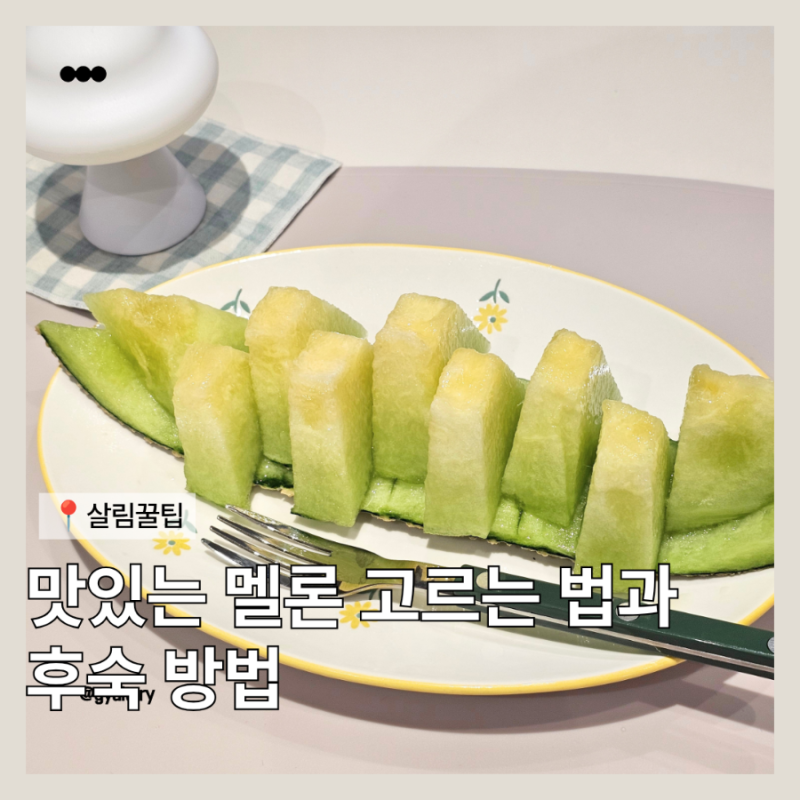 멜론 밍밍하다면? 당도 끌어올리는 후숙법과 보관법 총정리