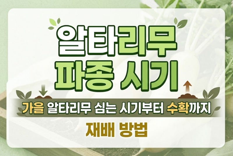알타리무 파종 시기｜가을 알타리무 심는 시기부터 수확까지 재배 방법