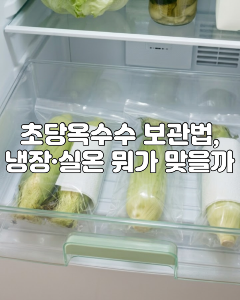 초당옥수수 보관법, 냉장·실온 뭐가 맞을까