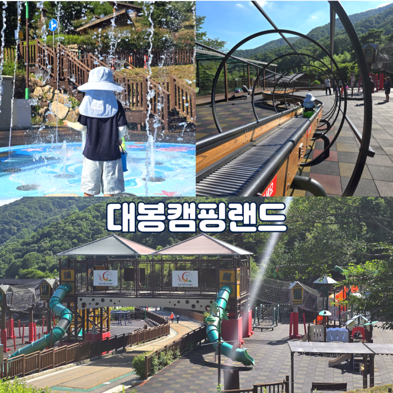 함양 대봉캠핑랜드 불로초 추천 아이랑 숙박 초대형놀이터 경남 자연휴양림 솔직후기