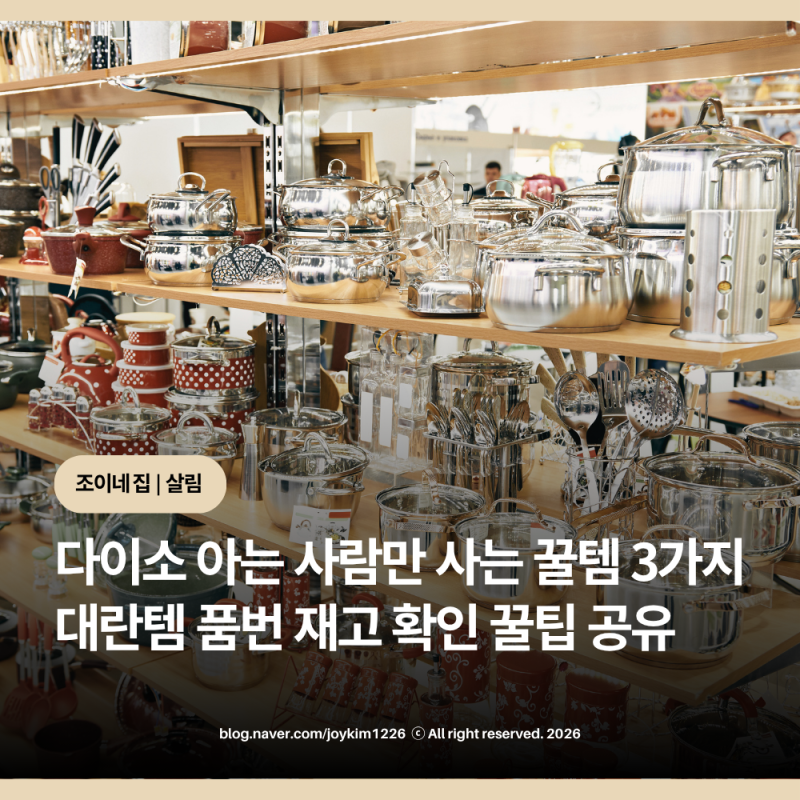 다이소 아는 사람만 사는 꿀템 3가지: 행주티슈, 극세사 걸레, 요석 석회 제거제