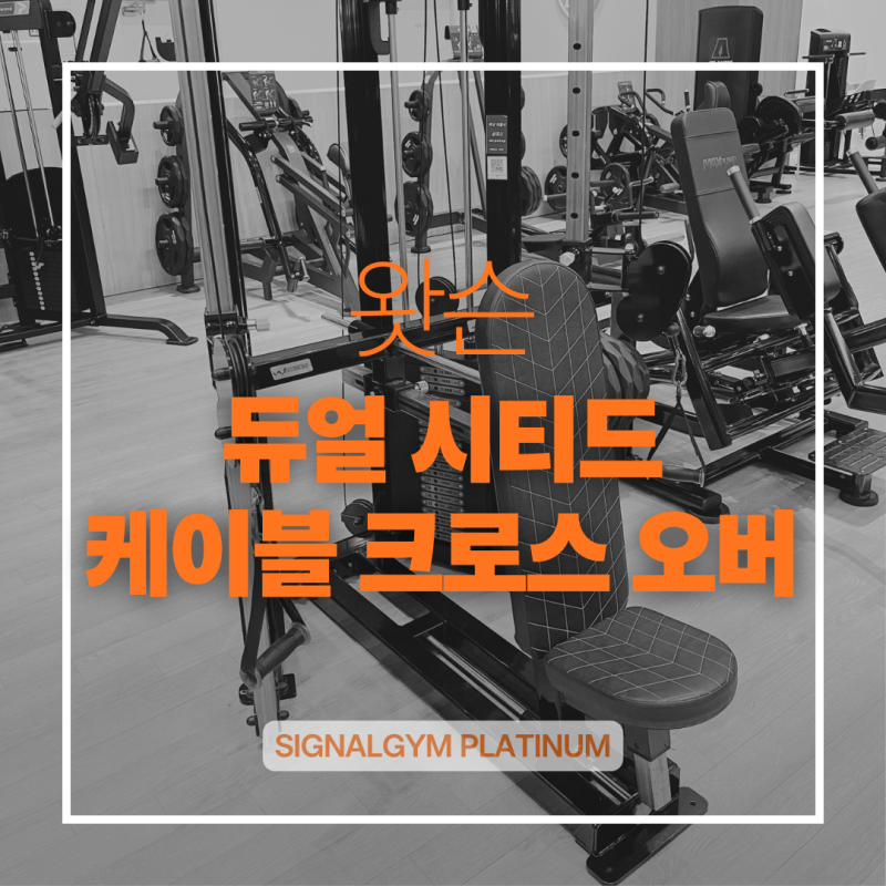 [옥정동헬스장 시그널짐] 가슴 운동기구 추천｜왓슨 듀얼 시티드 케이블 크로스오버 사용법
