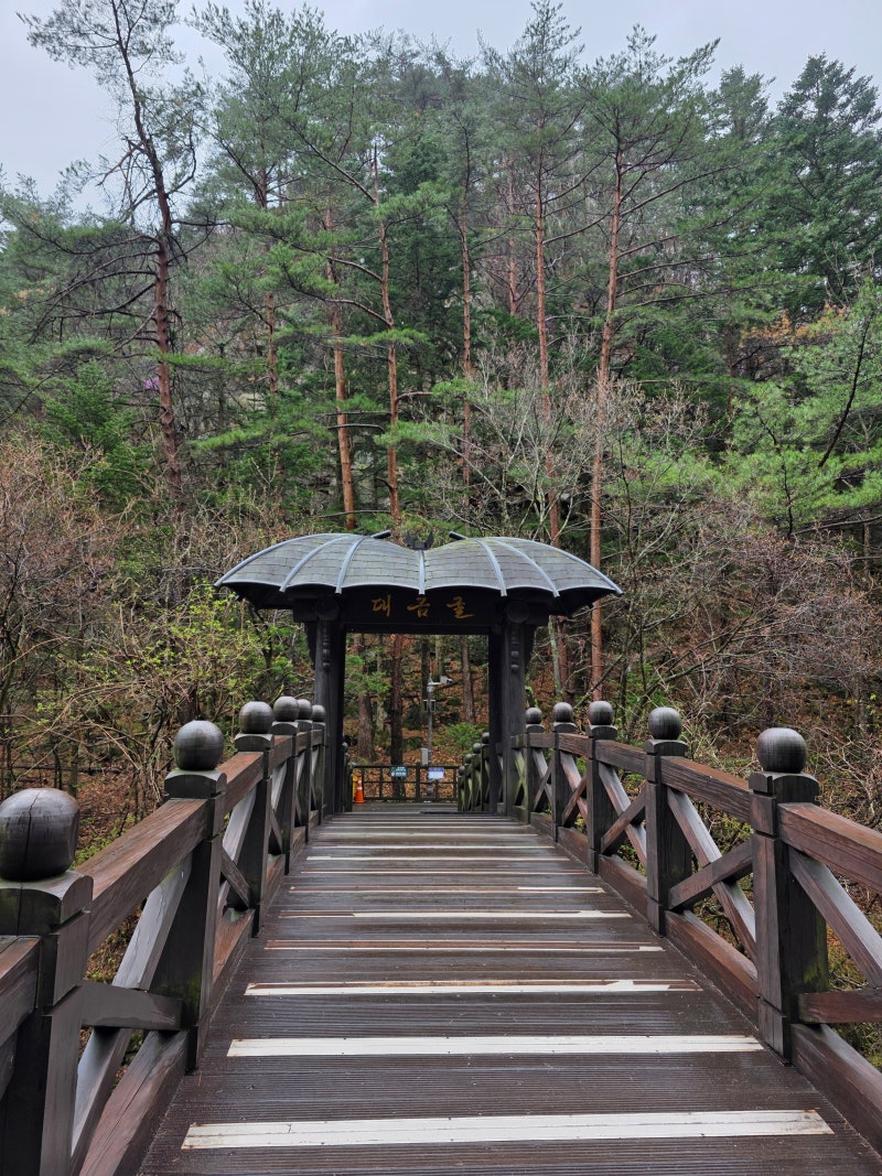 강원도 삼척 가볼만한곳 대금굴, 모노레일 예약 필수