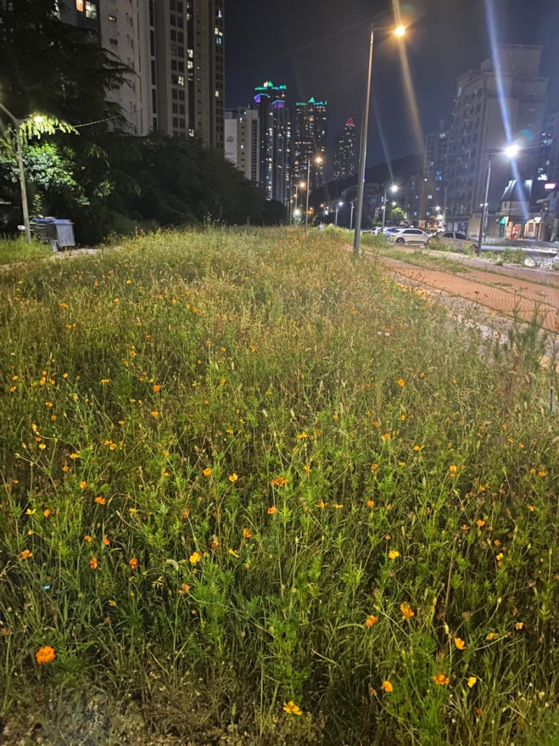 해리단길 공영주차장 | 해운대 저렴한 주차장 일주차 8000원 10분당 300원