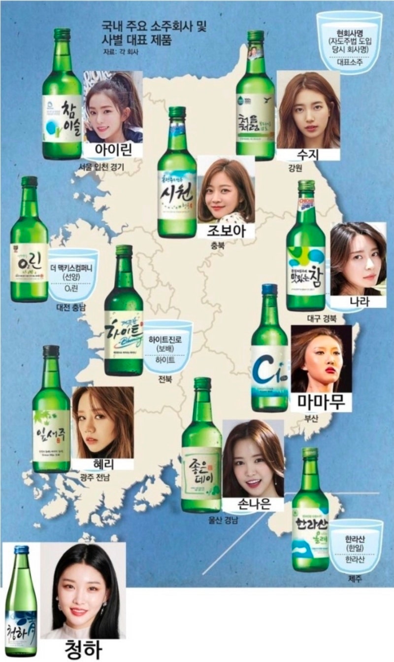 팔도강산 전국 소주 종류 총정리