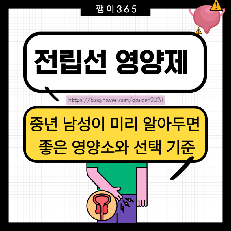전립선 영양제, 중년 남성이 미리 알아두면 좋은 영양소와 선택 기준