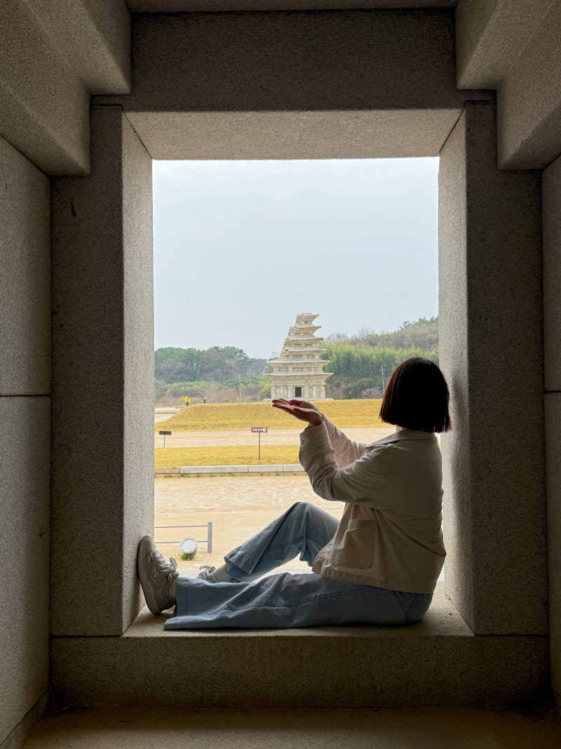 대전 근교 여행 국립익산박물관 익산 미륵사지 석탑 볼거리