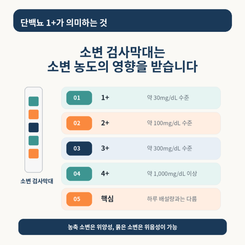 건강검진에서 단백뇨 양성, 물을 덜 마셔서 나온 걸까요?