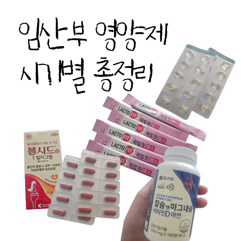 임산부 영양제 시기별 총정리｜임신 초기부터 중기·후기까지
