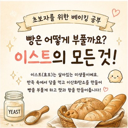 초보자를 위한 베이킹 공부8 | 빵을 부풀게 하는 힘! 이스트의 역할을 알아봐요!
