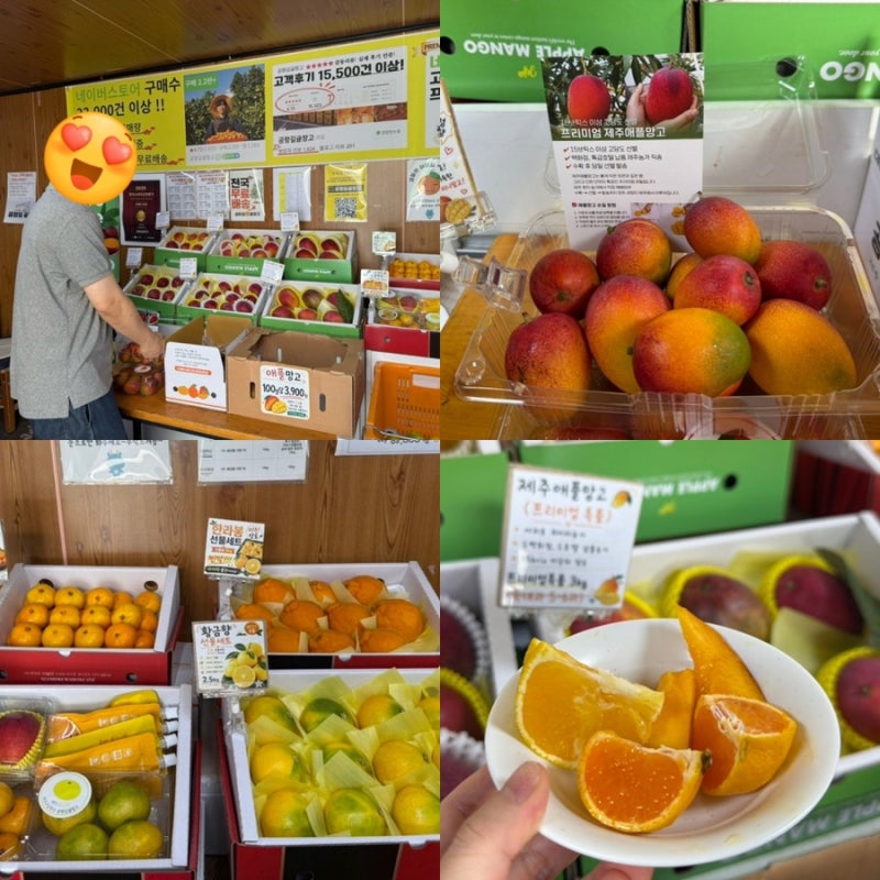 제주공항근처 제주애플망고 제주공항선물 공항길귤창고