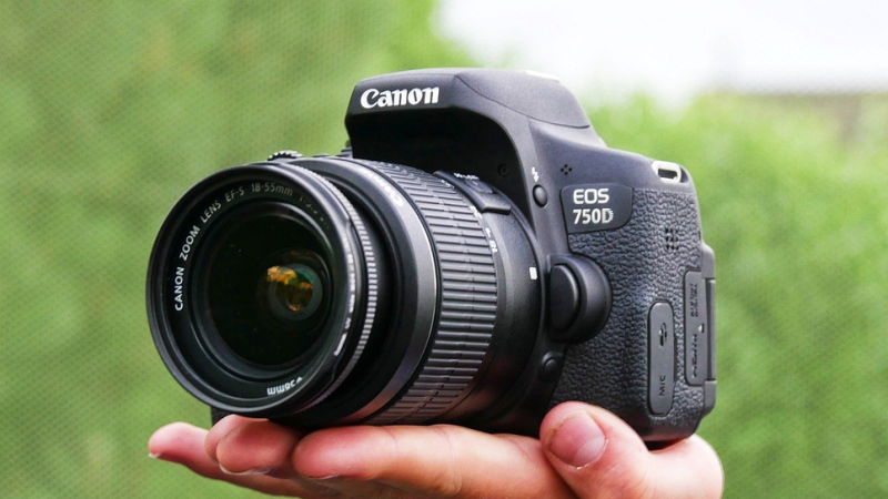 캐논 700D 750D 800D 850D 차이는? DSLR 카메라 입문용 비교