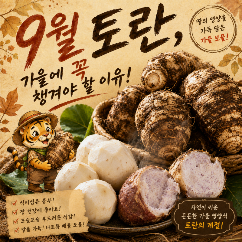 9월 제철 음식 알토란 효능과 맨손 손질 시 손 가려운 독성의 진실