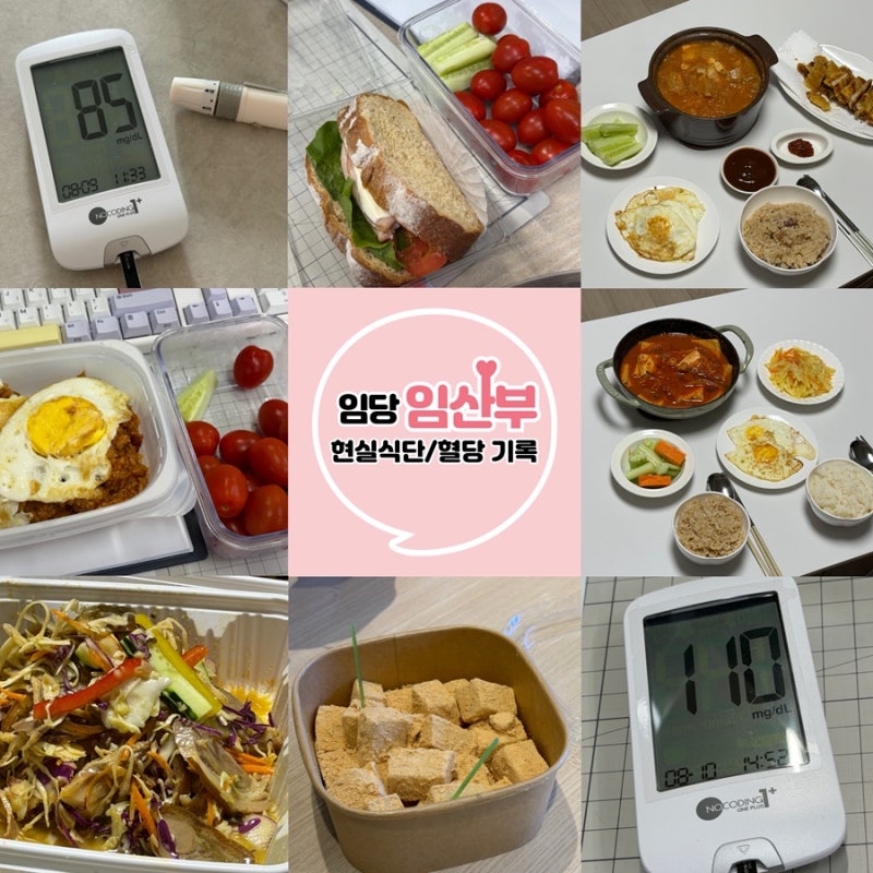 25w 임산부 임당기록 - 직장인 현실 임당 식단 관리 · 혈당체크 방법 · 임당 혈당 수치 IN OUT ....