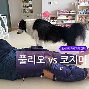 풀리오 종아리 허벅지 마사지기 vs 코지마 슬릭 발마사지기뭐가 더 나을까? 솔직 비교 후기