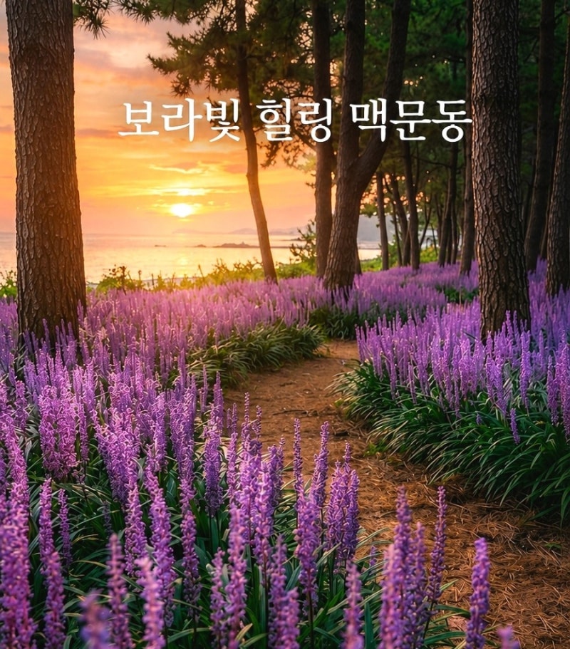 보랏빛물결! 맥문동 개화시기, 장항 맥문동 꽃 축제정보