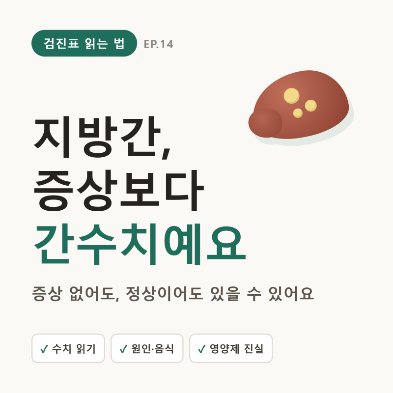 지방간 증상, 없어도 간수치가 말해줘요 — 원인·좋은 음식·영양제의 진실 (비알콜성·되돌....
