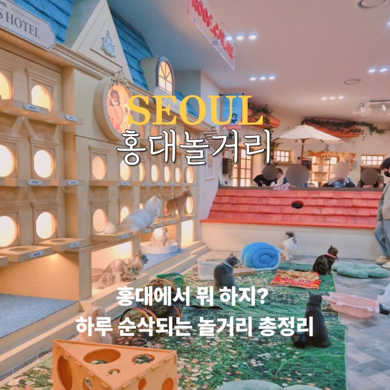 홍대 놀거리 서울 실내 아이와 가볼만한 홍대 이색체험 3곳