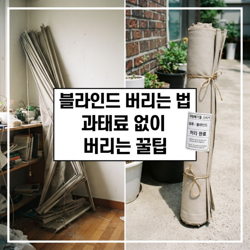 블라인드 잘못 버렸다가 무단투기 과태료 100만 원 내게 됩니다