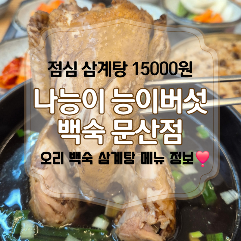 파주 문산 삼계탕 맛집 나능이 능이버섯 백숙 문산점