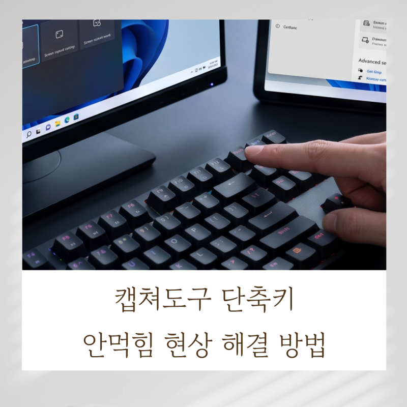 캡쳐도구 단축키 : 안먹힘 현상 해결 방법